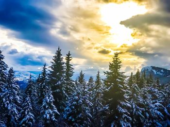 Close-up of snow against sky