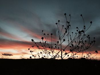 Scenic view of field against sky at sunset