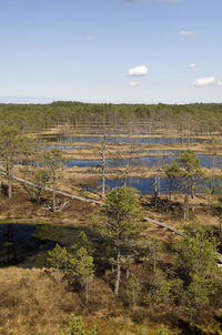 Scenic view of landscape against sky