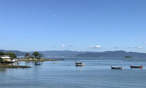 Sailboats in sea against clear sky