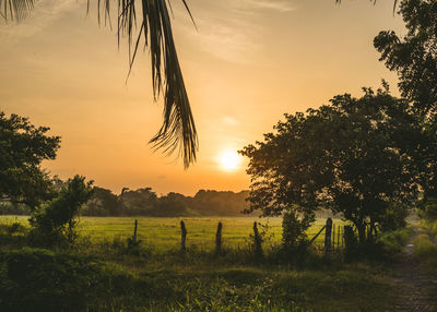 Scenic view of landscape at sunset