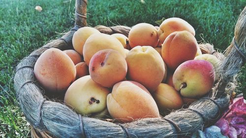 High angle view of fruits in basket