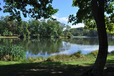 Scenic view of lake by trees against sky