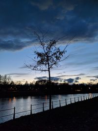 Silhouette tree by lake against sky at sunset