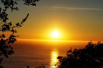 Scenic view of sea during sunset