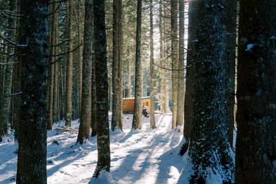 Rear view of man walking on snow covered landscape