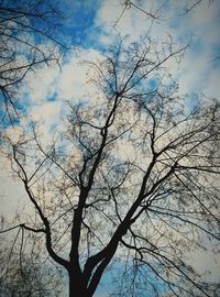 Low angle view of bare tree against cloudy sky