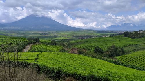 Panorama mountain