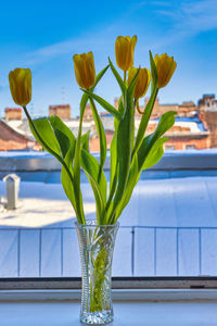 Close-up of wet glass vase on table