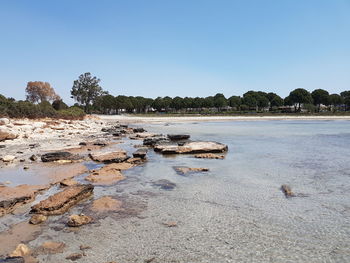 Scenic view of beach against clear sky