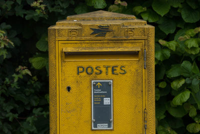 Letter mailbox in front of bushes