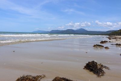 Scenic view of beach against sky