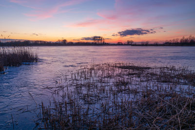 Frozen lake with reeds and a colorful sky after sunset