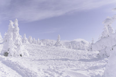 Snow covered landscape against sky