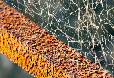 Detail shot of rusty pole