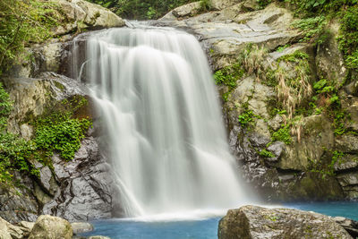 Scenic view of waterfall in forest
