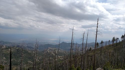 Scenic view of landscape against cloudy sky