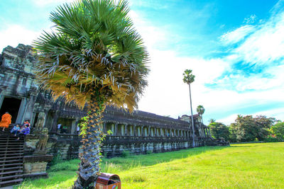 Low angle view of palm trees on field against sky