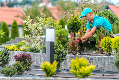 Rear view of man standing amidst plants