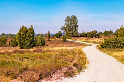 Road amidst trees on field against sky