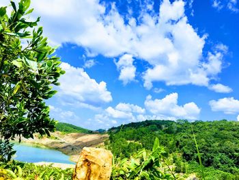 Scenic view of trees on field against sky