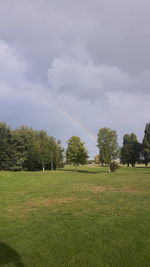 Trees on field against sky