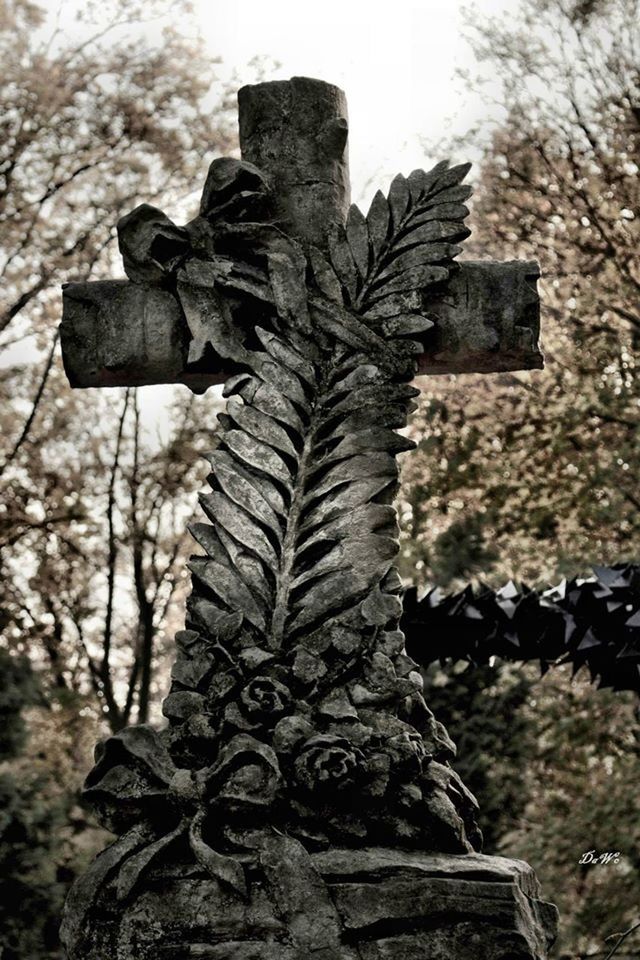 tree, old, built structure, building exterior, close-up, architecture, focus on foreground, weathered, cemetery, low angle view, religion, wall - building feature, art, day, abandoned, outdoors, cross, art and craft, branch