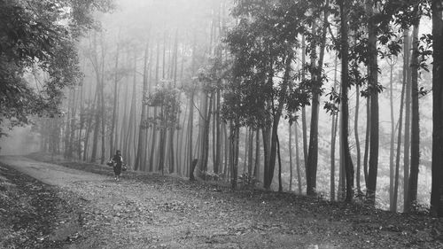 Full length of woman walking on damaged road against trees during foggy weather