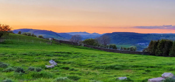 Scenic view of field against sky during sunset