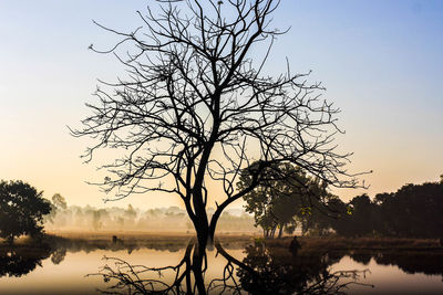 Silhouette bare tree by lake against sky during sunset