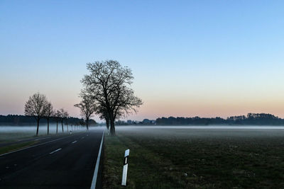 Road by trees on field against clear sky during sunset