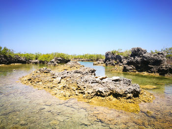 Scenic view of river against clear sky