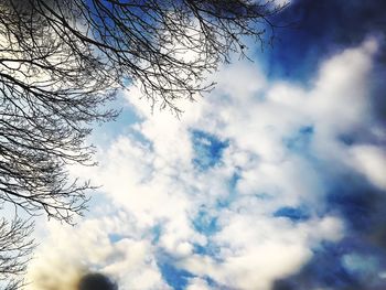 Low angle view of tree against sky