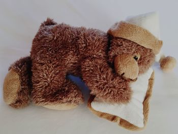 Teddy bear sleeps on his pillow