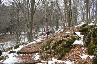 Rear view of woman with dog walking in forest during winter