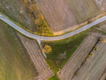 High angle view of road amidst trees