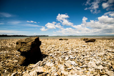 Scenic view of landscape against cloudy sky