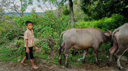 Portrait of boy with horse