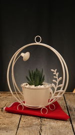 Close-up of potted plant on table