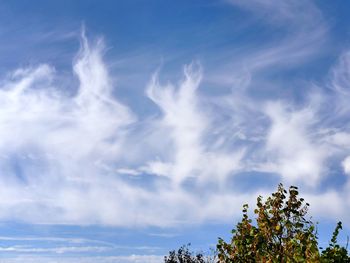 Low angle view of trees against cloudy sky