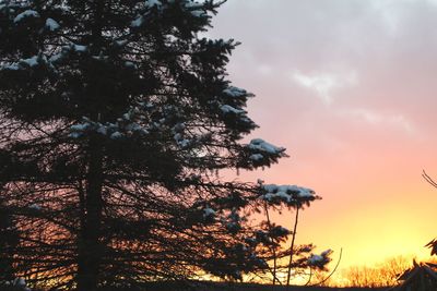 Low angle view of silhouette tree against sky during sunset