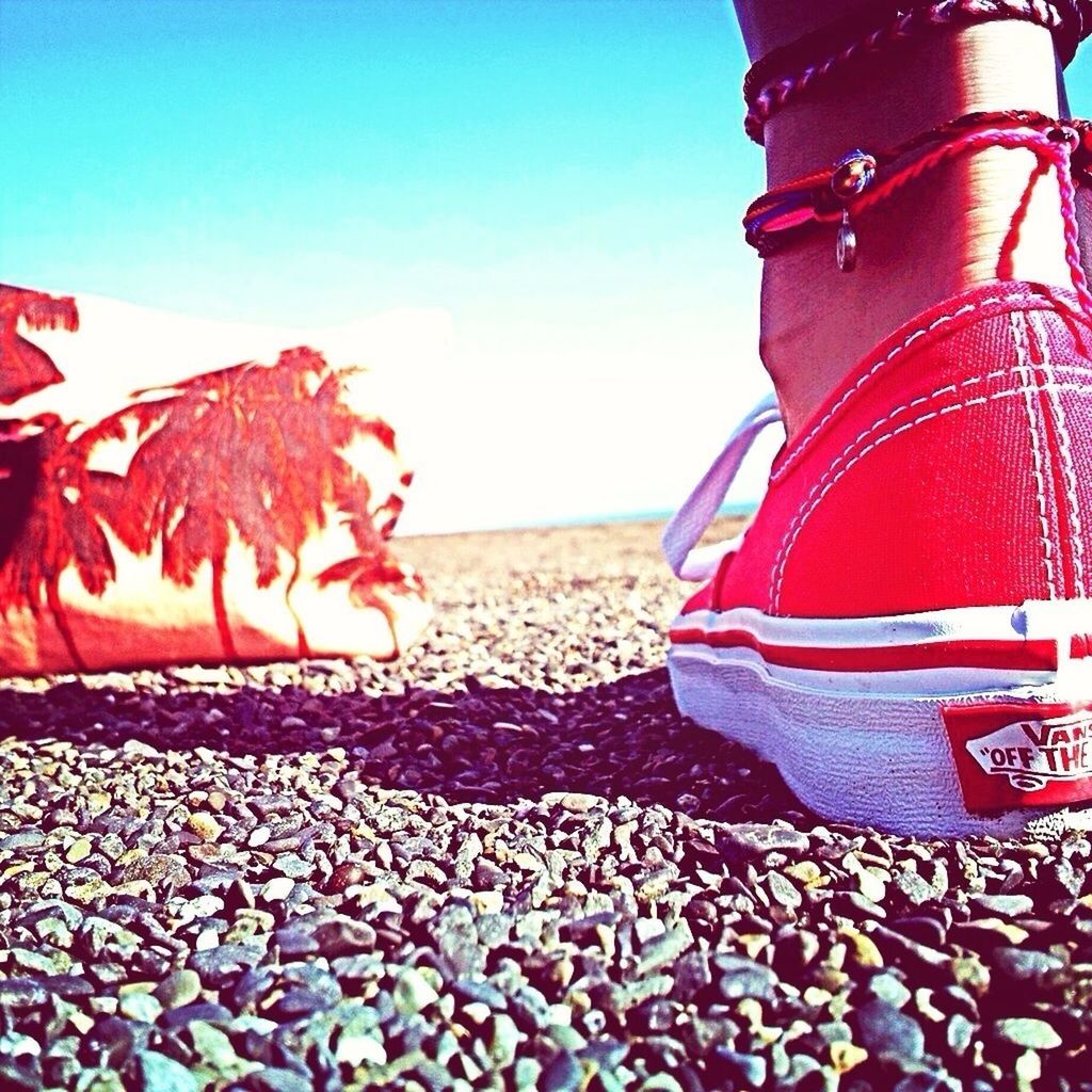 red, clear sky, blue, beach, sea, water, close-up, copy space, sky, sunlight, nature, day, outdoors, shore, tranquility, horizon over water, beauty in nature, no people, focus on foreground, protection