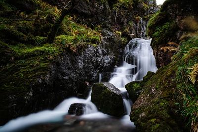 Waterfall in forest