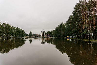 Reflection of trees in lake