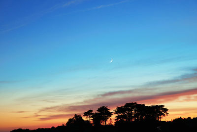 Low angle view of silhouette trees against sky at sunset