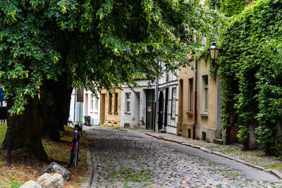 Footpath amidst buildings and trees in city