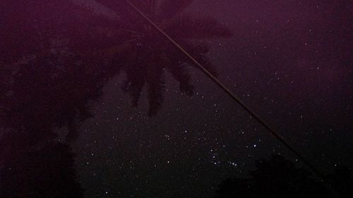 Low angle view of silhouette trees against sky at night