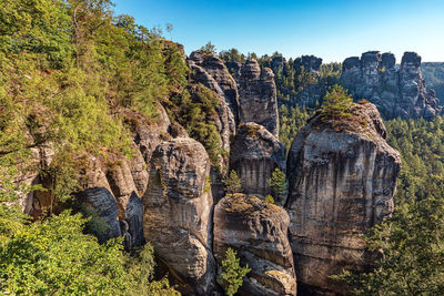 Plants growing on rock against sky
