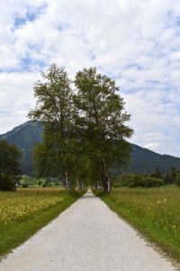 Empty road along trees and plants against sky