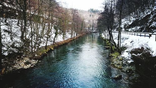 River amidst trees in forest against sky